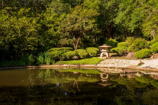 Designing Water’s Symphony: The Deeper Art of Pond Landscaping